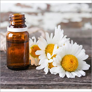 Roman Chamomile Oil