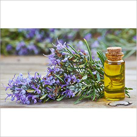 Rosemary Oil