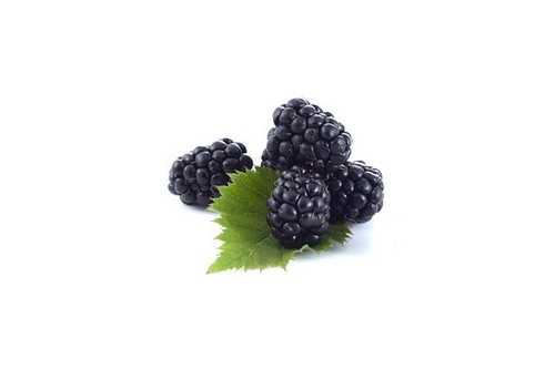 Blackberry Liquid Extract - Rubus Fruticosus
