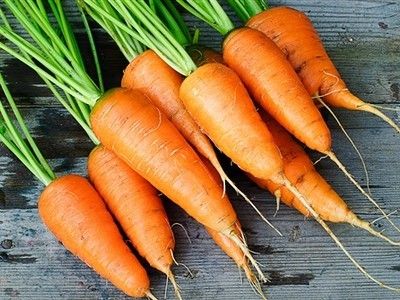 Carrot Liquid Extract - Daucus Carota Grade: Cosmetic