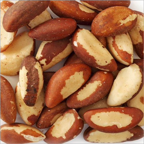 Brazil Nuts By GLOBAL TRADING CO LTD