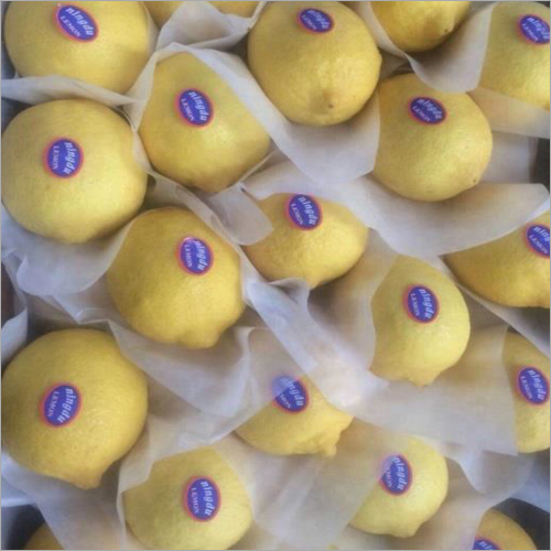 Fresh Lemon By GLOBAL TRADING CO LTD