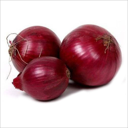 Fresh Red Onion