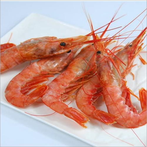 Frozen Red Shrimp By GLOBAL TRADING CO LTD