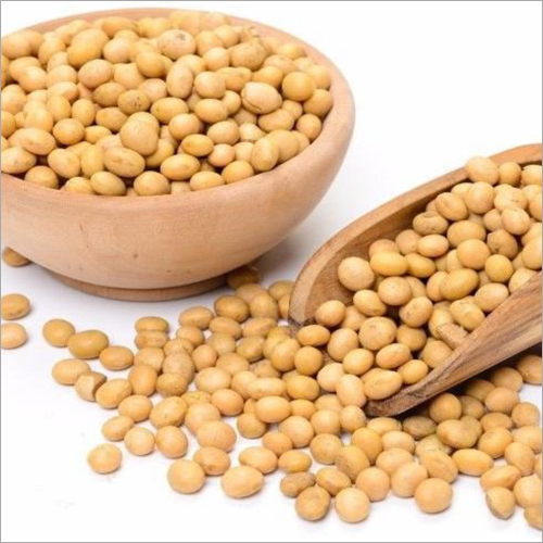 Soybean Seeds By GLOBAL TRADING CO LTD
