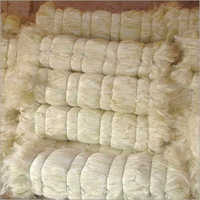 Sisal Fiber