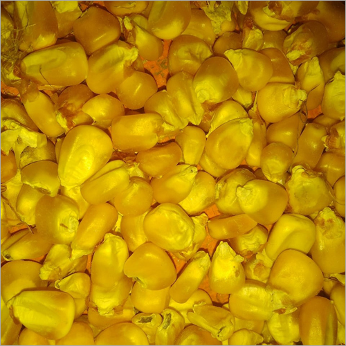 Yellow Maize Grains - Organic, Natural Size, Yellow Color | High Purity, Nil Moisture Content