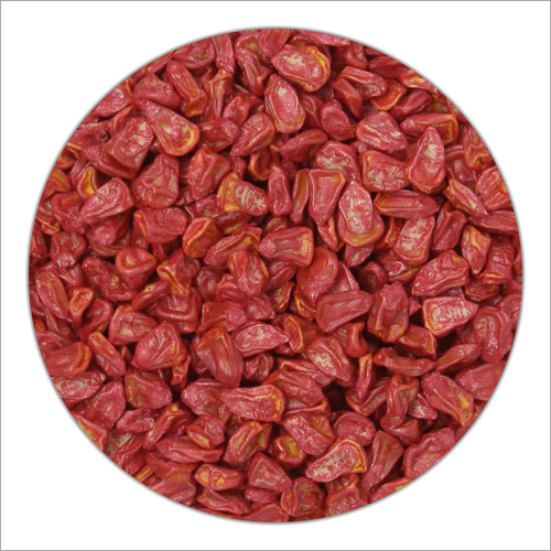 Hybrid Sweet Corn Seeds