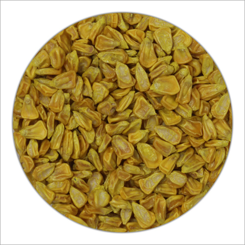 Sweet Corn Seeds