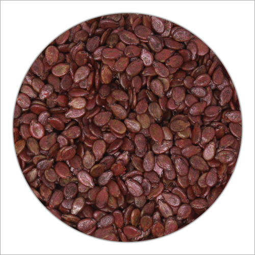 Hybrid Fruit Seeds