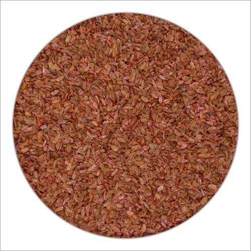 Carrot Seeds