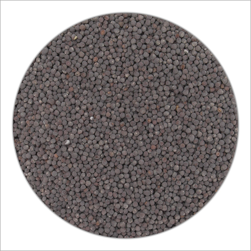 Cauliflower Seeds