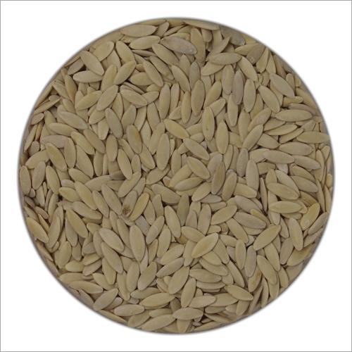 Hybrid Cucumber Seeds