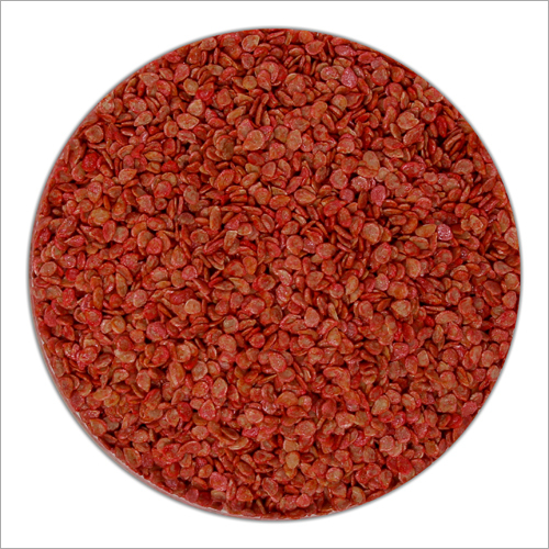 Hybrid Tomato Seeds By SAKATA SEED INDIA PVT LTD