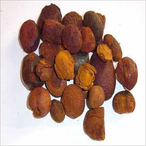 OX Gallstones