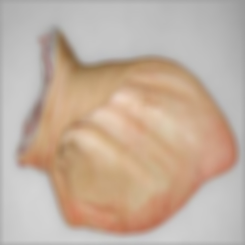 Pork Meat