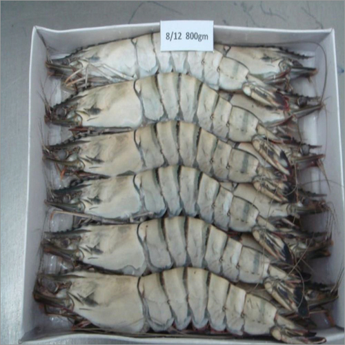 Frozen Shrimps