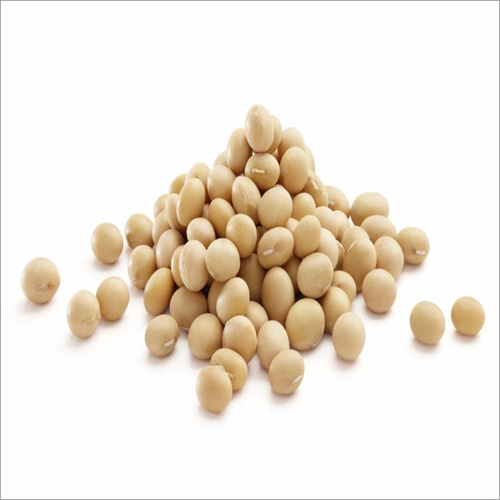 Soybean Seeds