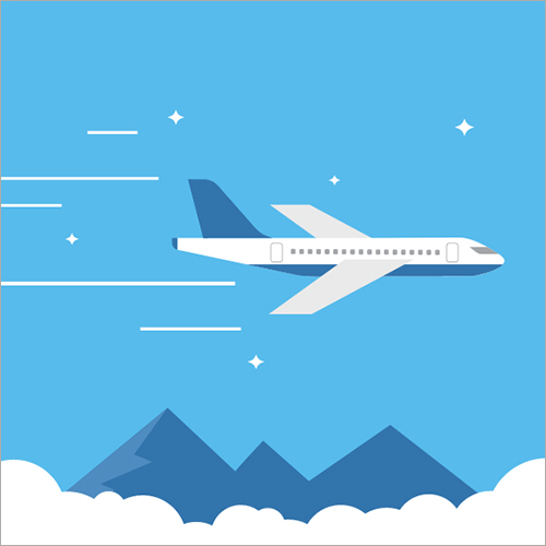 Flight Voucher Consultant Services