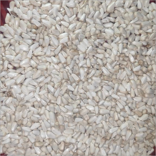 Fresh Saffron Seeds