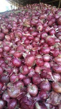 Red Onion