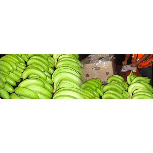 Fresh Bananas
