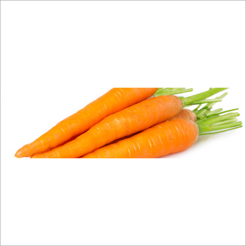 Fresh Carrot