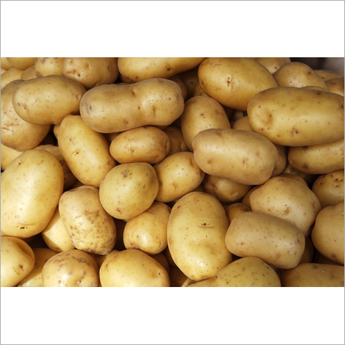 Fresh Potato - Organic A Grade Natural Shape Fresh Style Shelf Life: 6-7 Days Ideal for Indian Cuisine Low Calorie Superfood
