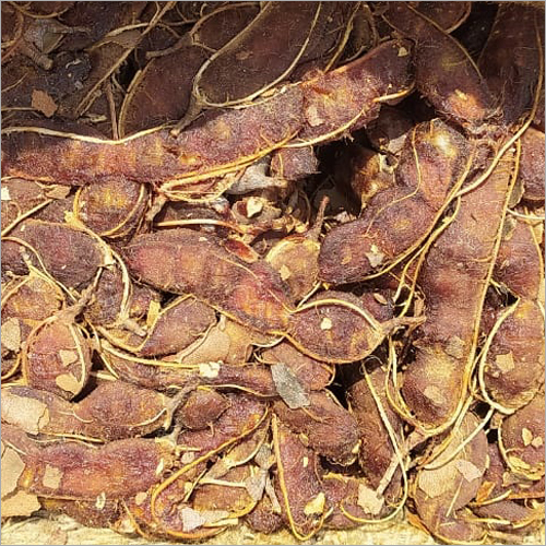 Raw Tamarind
