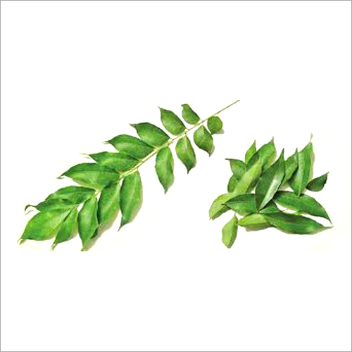 Green Curry Leaves