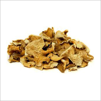 Dry Oyster Mushroom