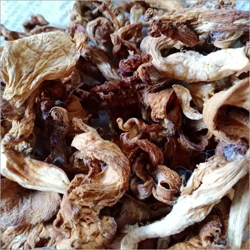 Light Brown Dry Mushroom
