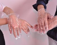 Plastic/Nitrile disposable hand gloves for food industry