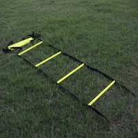 Agility Tubular Ladder