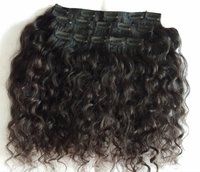 Indian Curly Clip In Hair