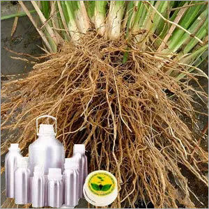 Vetiver Oil Regular