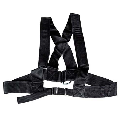 Shoulder Harness