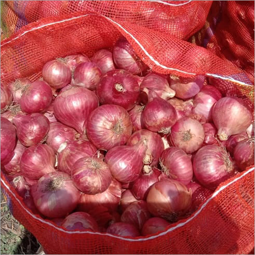 Fresh Onion - Organic, Natural Shape | Fresh Style, Normal Taste