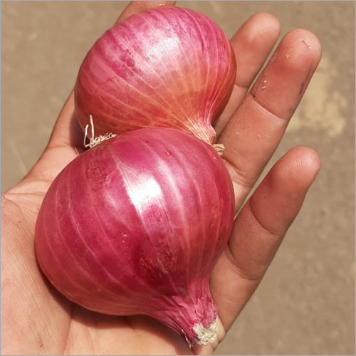 Pure Red Onion - Organic, Naturally Fresh Shape | Fresh Taste, Natural Style