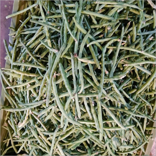 Fresh Drumstick - Organic, Natural Shape | Fresh Style, Sourced from India