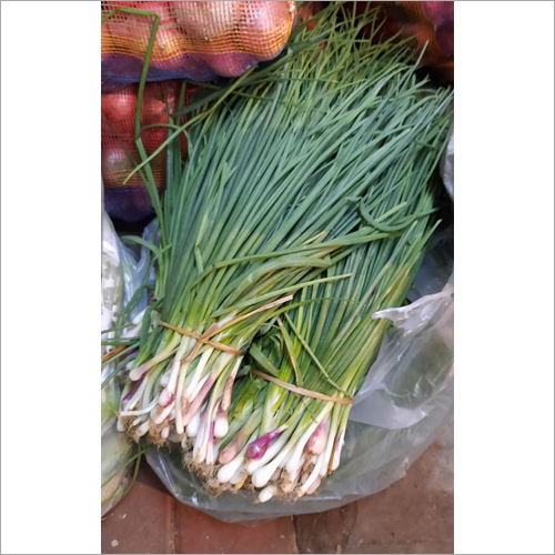Fresh Green Onion - Organic, Natural Shape | Fresh Style, Sourced from India