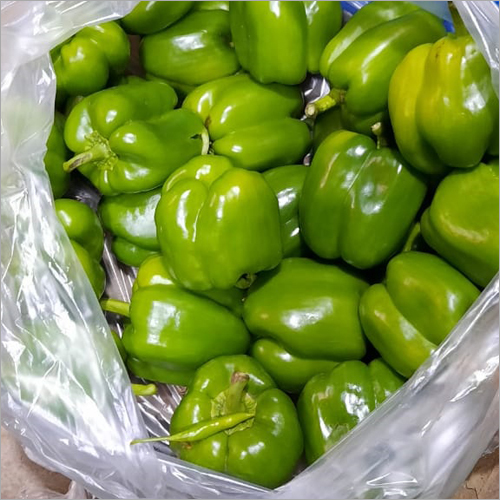 Fresh Green Capsicum - Organic | Natural Shape, Fresh Style, Ideal for Culinary Applications