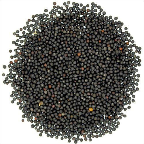 Mustard Seeds