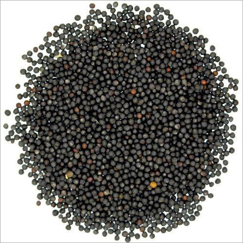 Mustard Seeds