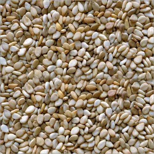 Sesame Seeds