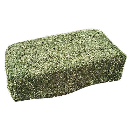 Rhodes Hay