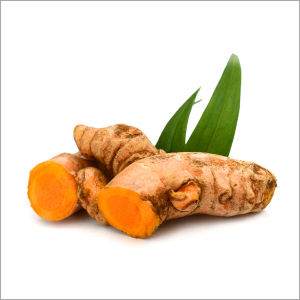 Curcuma Longa