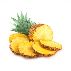 Ananas Comosus