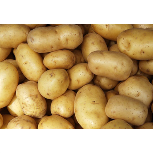 Fresh Organic Potato By UNIVERSAL BUSINESS IMPORT EXPORT