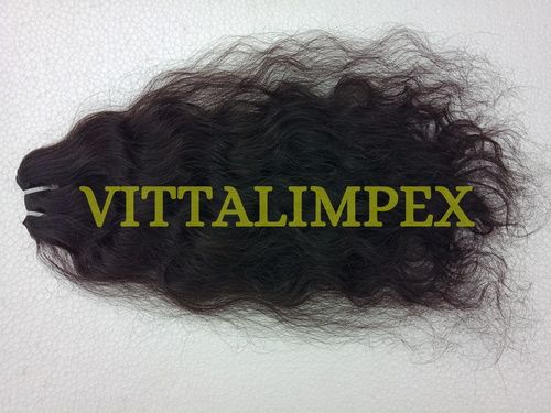 Indian Virgin Curly Hair